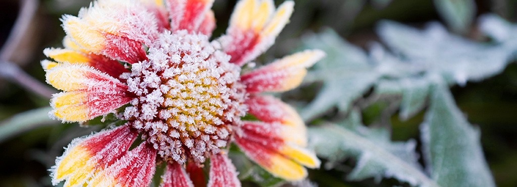 Rituximab – Reflecting One Week&nbsp;Later